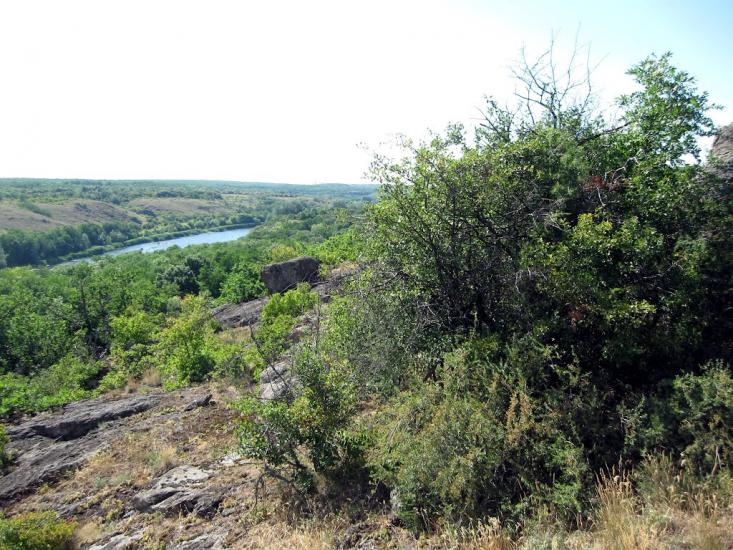 Куріпчине з panoramio.com - Kuripchyne