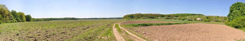 Великий Тростянець з panoramio.com - Великий Тростянець