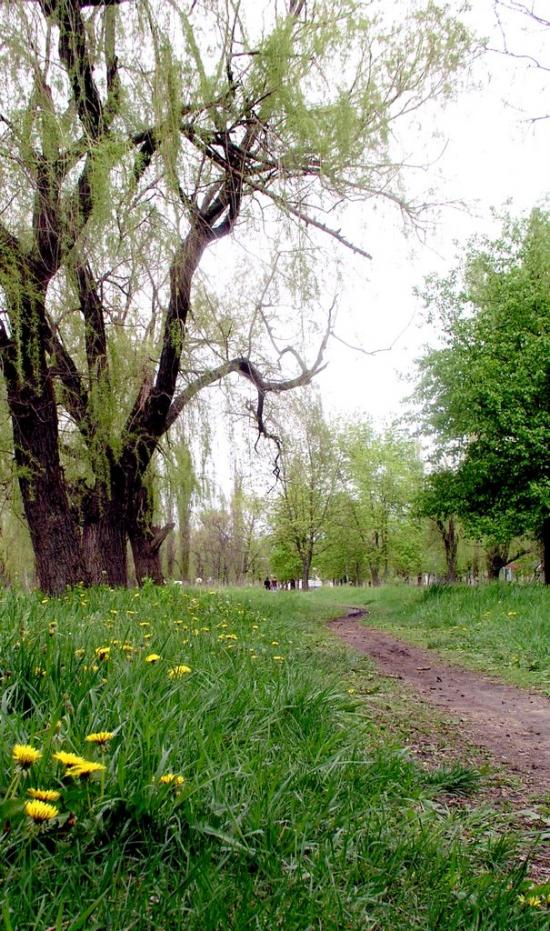 Чернігівка з panoramio.com - Чернігівка