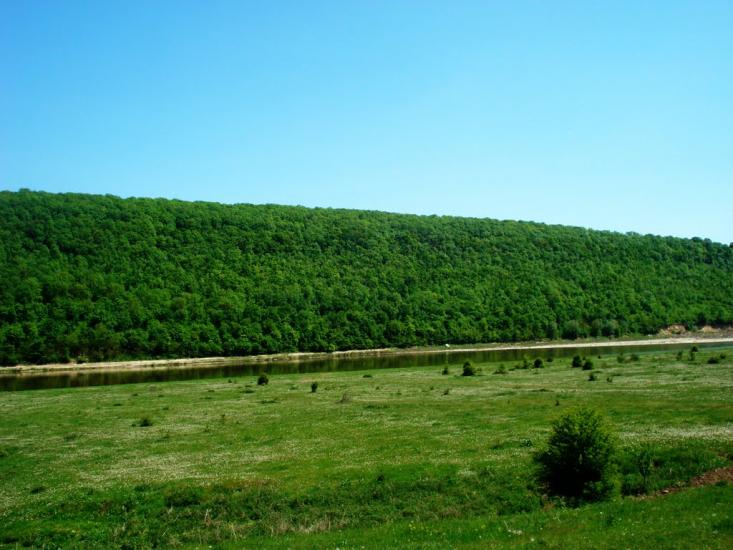 Репужинці з panoramio.com - Репужинцы