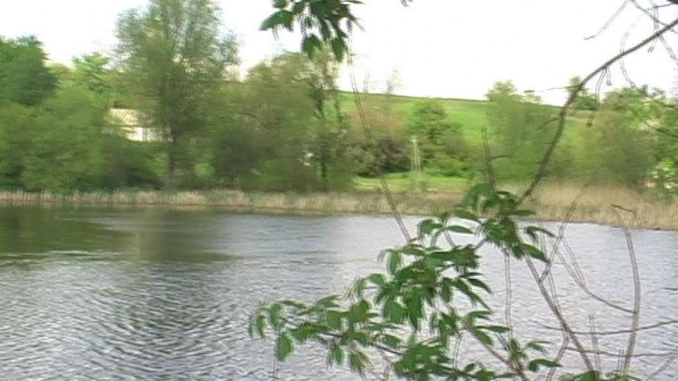 Горошків з panoramio.com - Горошків