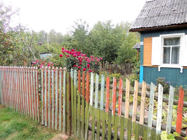 Деревини з panoramio.com - Деревины