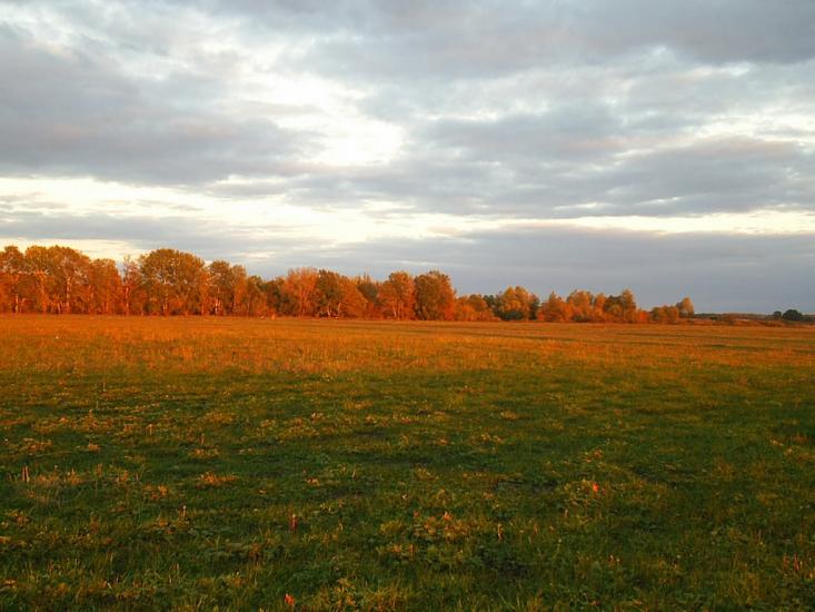 Залиман з panoramio.com - Залиман