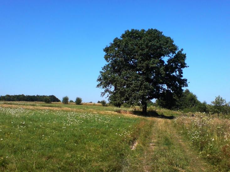 Павликівка з panoramio.com - Павликівка