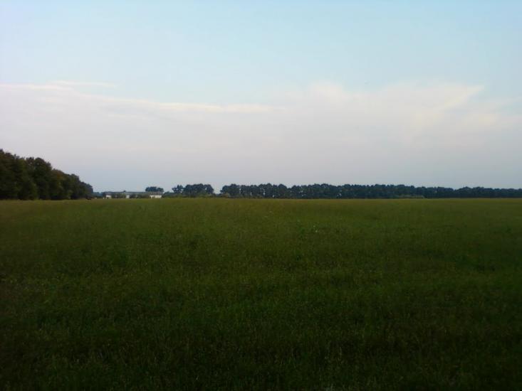 Рівнинне з panoramio.com - Рівнинне