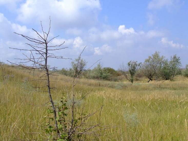 Нові Білярі з panoramio.com - Нові Білярі