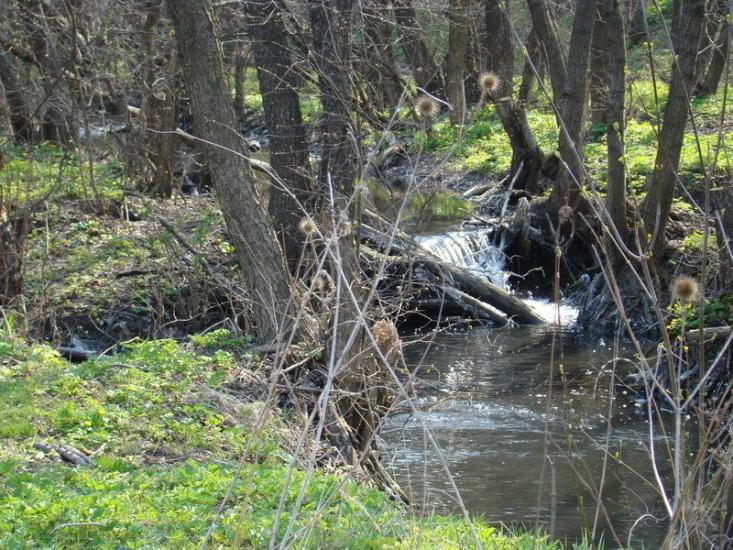 Ясенівський з panoramio.com - Ясенівський