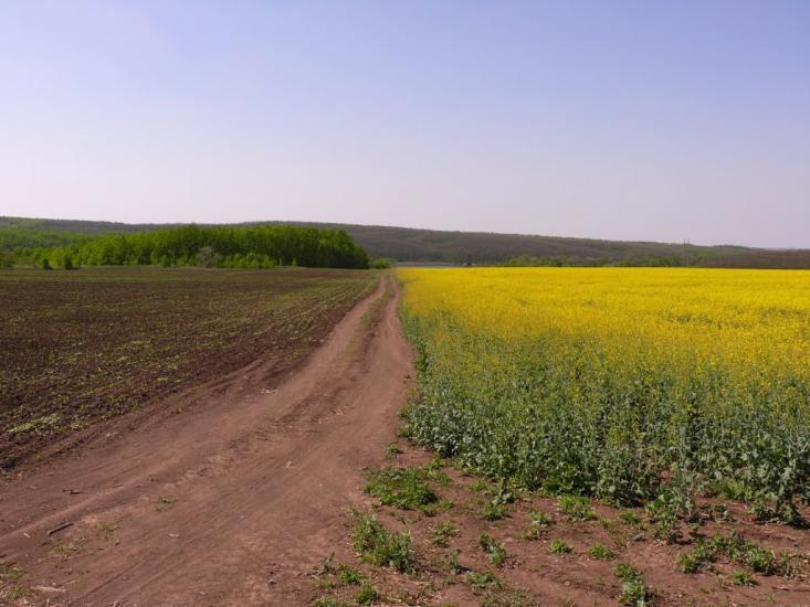 Всесвятське з panoramio.com - Всесвятское