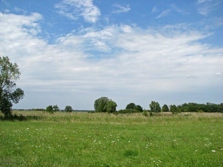 Литвинівка з panoramio.com - Литвиновка