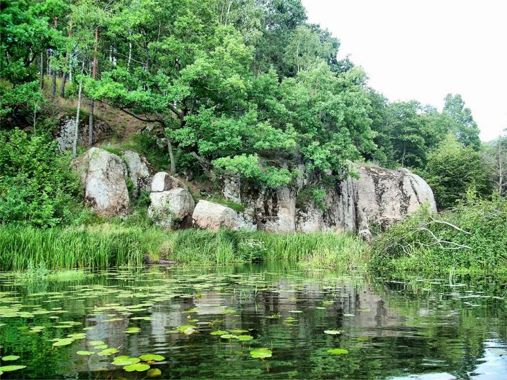 Струмок з panoramio.com - Струмок