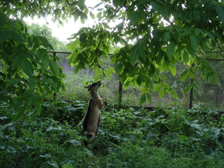 Вигода з panoramio.com - Выгода