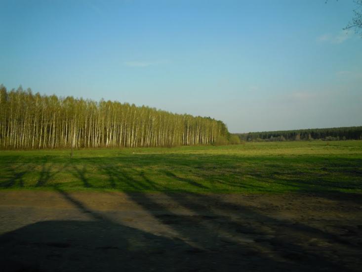 Рибчинці з panoramio.com - Рыбчинцы