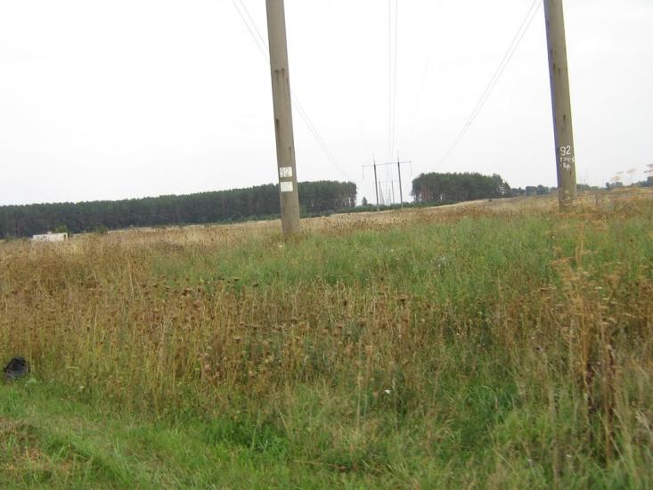 Велика Димерка з panoramio.com - Велика Димерка