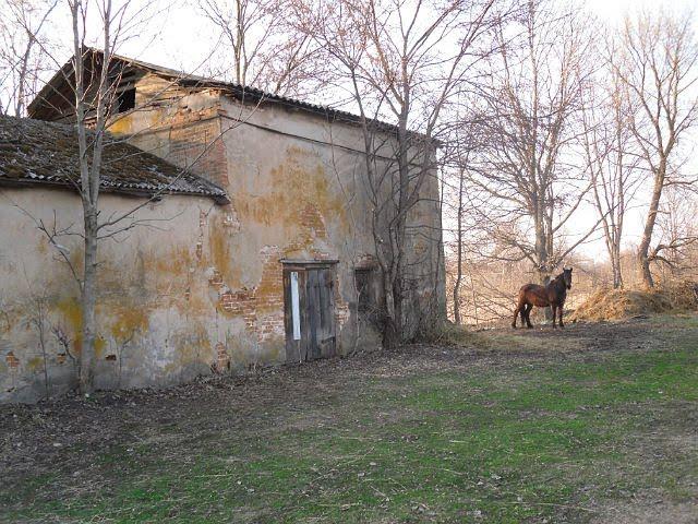 Вільшане з panoramio.com - Ольшаное