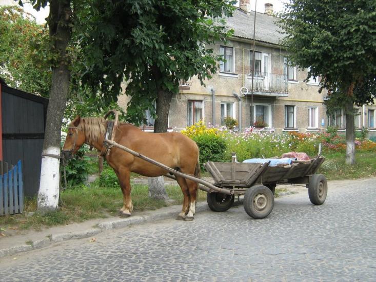 Камінь-Каширський з panoramio.com - Камінь-Каширський