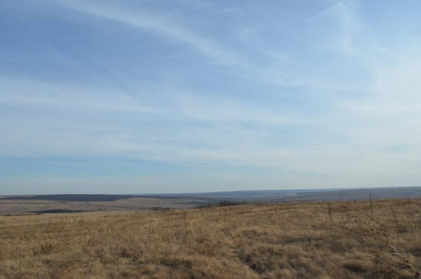 Мала Мартинівка з panoramio.com - Малая Мартыновка