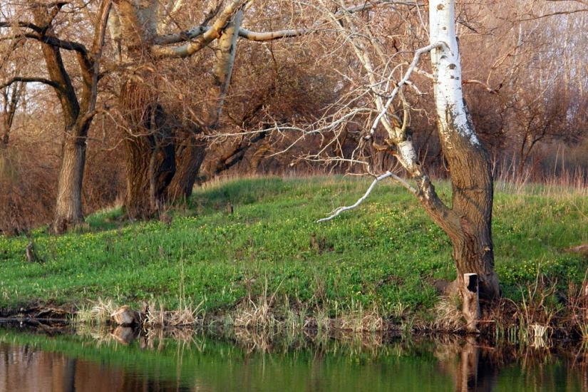 Ямпіль з panoramio.com - Ямпіль