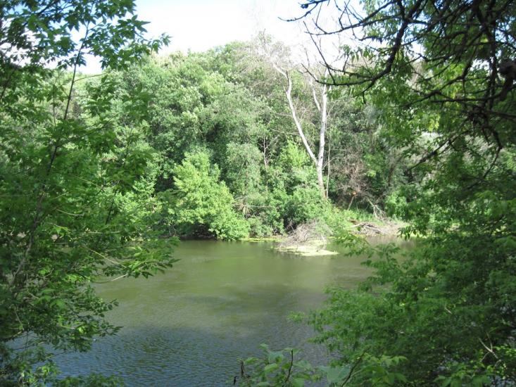 Пискунівка з panoramio.com - Pyskunivka