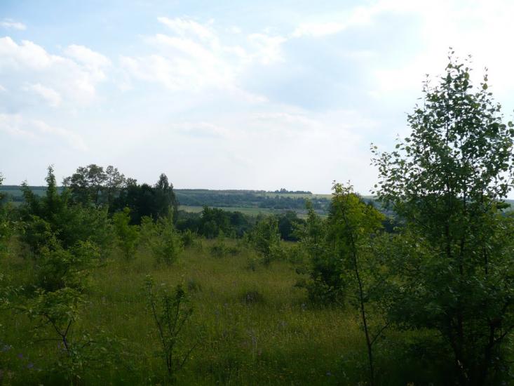 Думенки з panoramio.com - Думенки