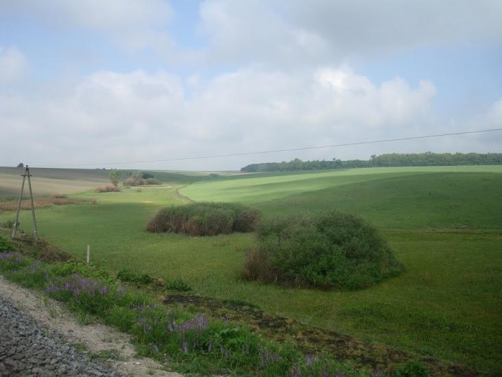 Нестерівці з panoramio.com - Нестерівці