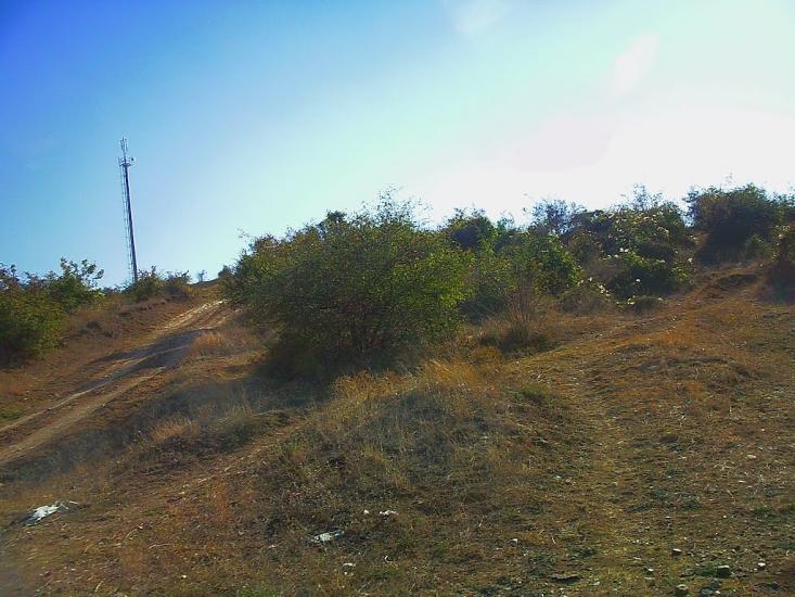 Каштани з panoramio.com - Каштани