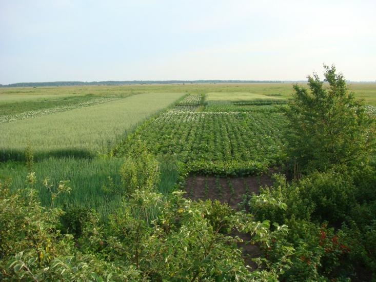 Переяслівка з panoramio.com - Переяслівка