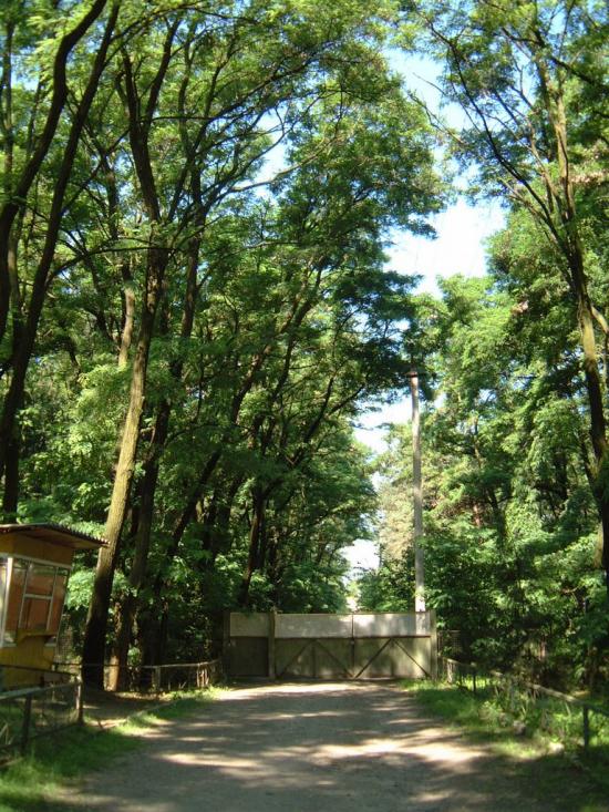 Нагірне з panoramio.com - Nagirne