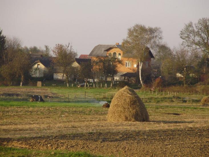 Дубівці з panoramio.com - Дубовцы