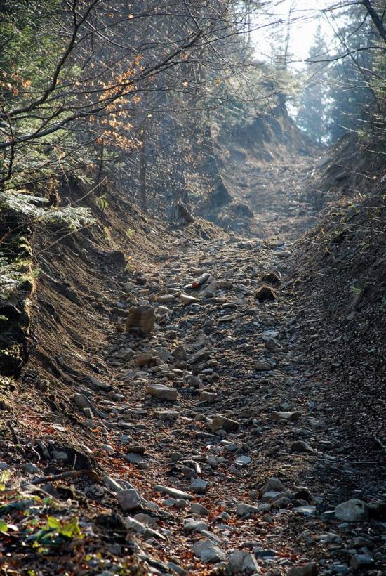 Кричка з panoramio.com - Кричка