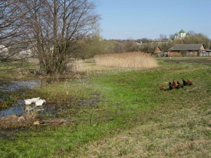Великі Мости з panoramio.com - Великі Мости