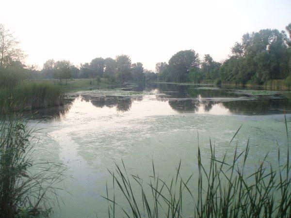 Бірки з panoramio.com - Борки