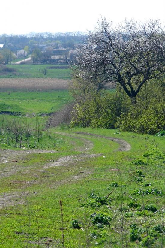 Аджамка з panoramio.com - Аджамка