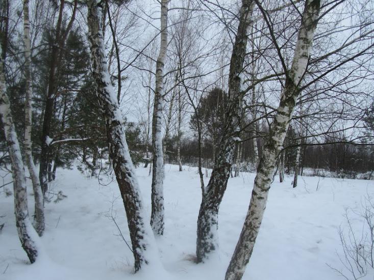Камінь-Каширський з panoramio.com - Камінь-Каширський