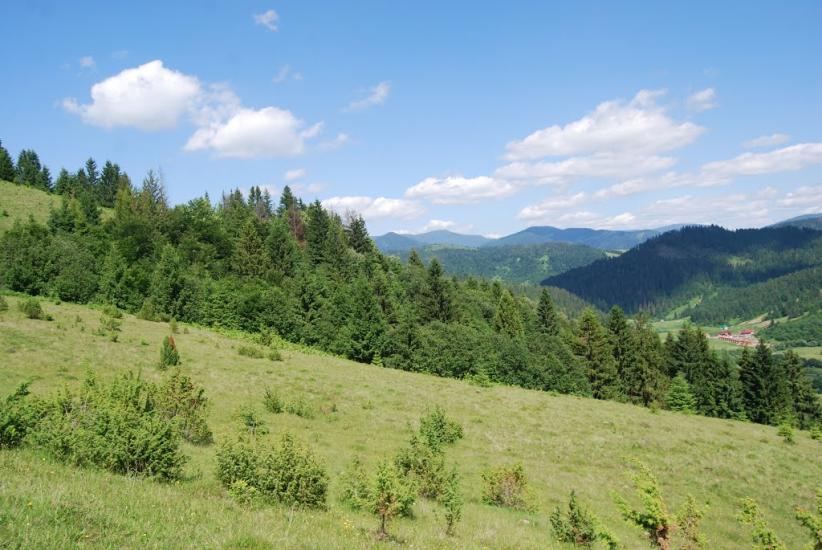 Річка з panoramio.com - Річка