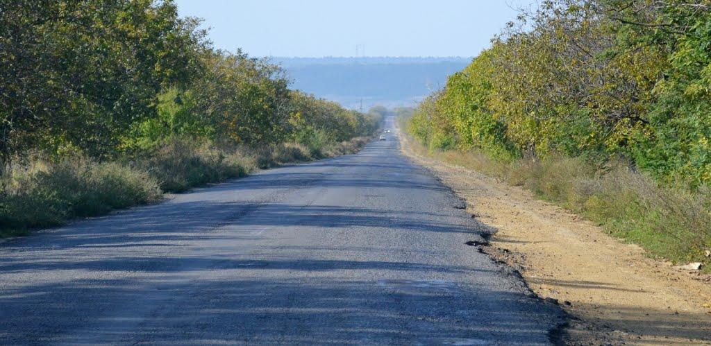 Матишівка з panoramio.com - Матышевка