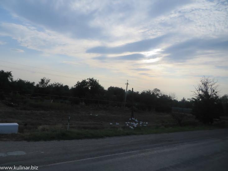 Родникове з panoramio.com - Родниковое