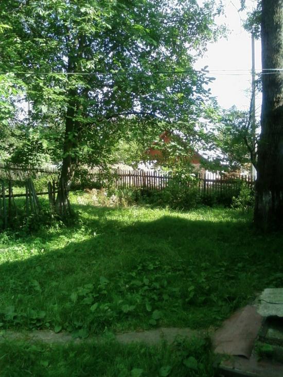 Конів з panoramio.com - Конев