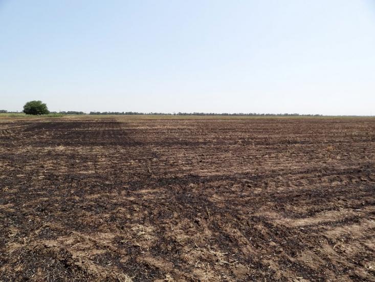 Балки з panoramio.com - Балки