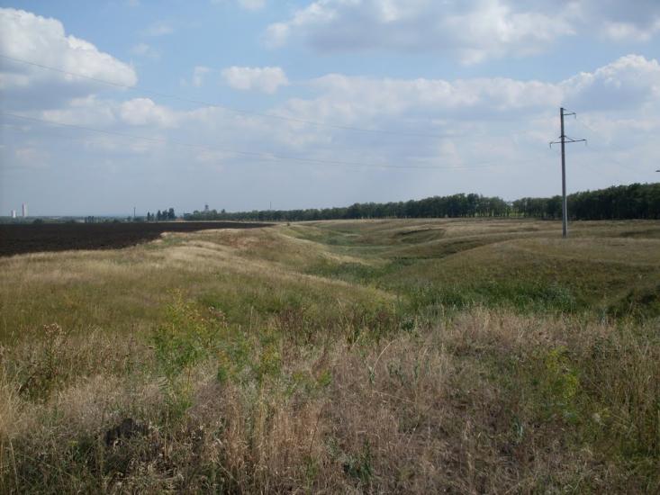 Зимівники з panoramio.com - Зимовники