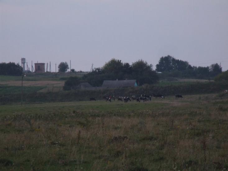 Нараїв з panoramio.com - Нараїв