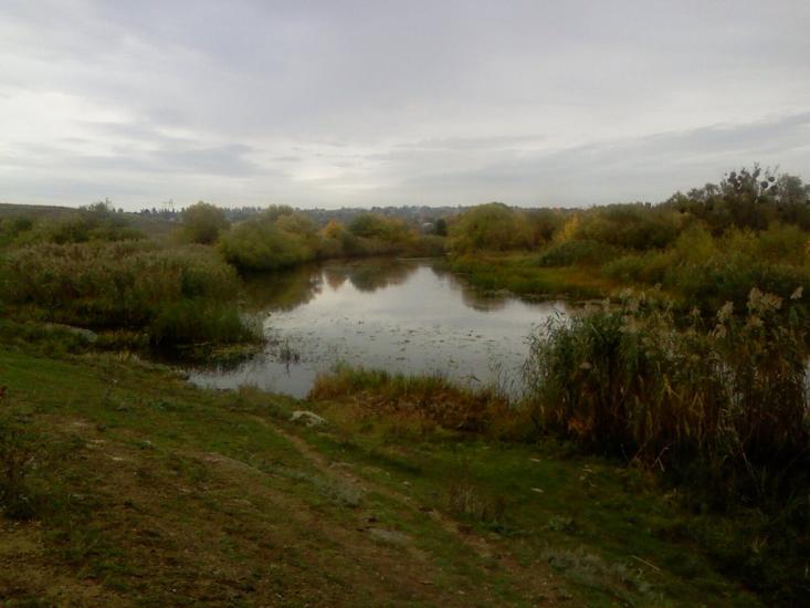 Новоархангельськ з panoramio.com - Новоархангельск