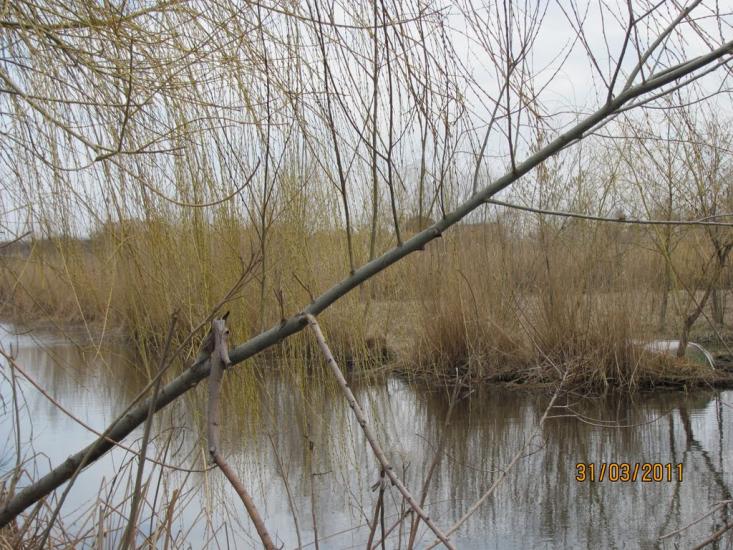 Кардашинка з panoramio.com - Кардашинка