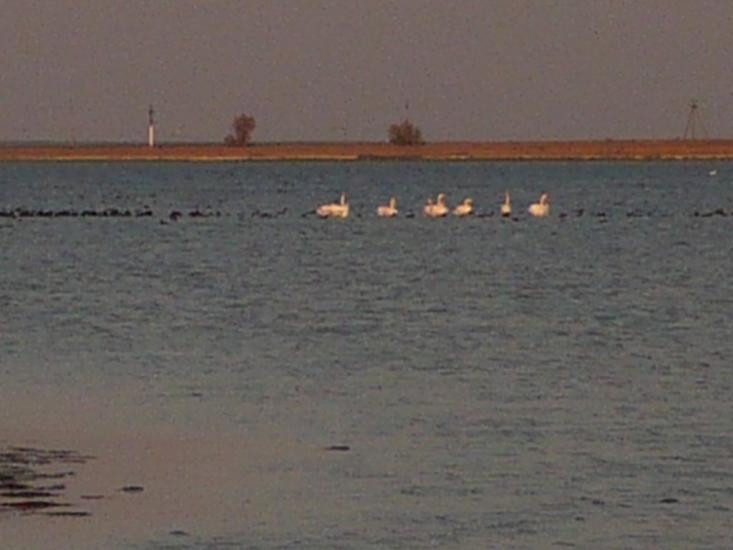 Хорли з panoramio.com - Хорли