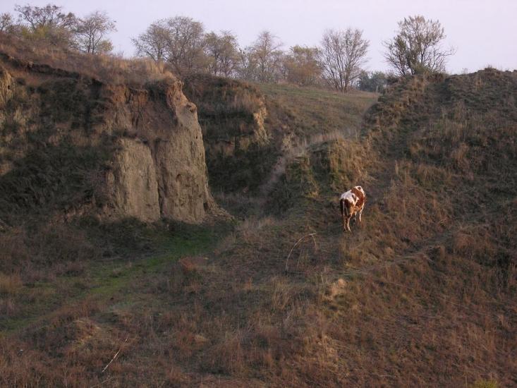 Роксолани з panoramio.com - Роксоланы