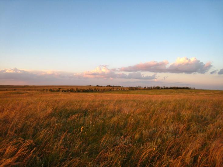 Мала Мартинівка з panoramio.com - Малая Мартыновка