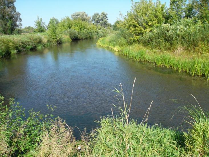 Ялцівка з panoramio.com - Ялцовка