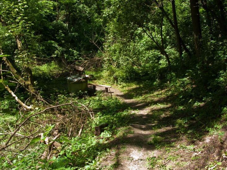 Бучак з panoramio.com - Бучак