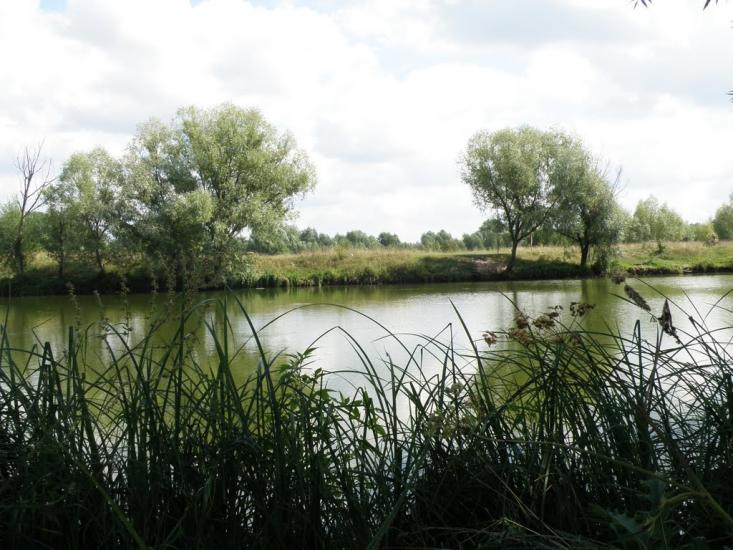 Івашківка з panoramio.com - Івашківка