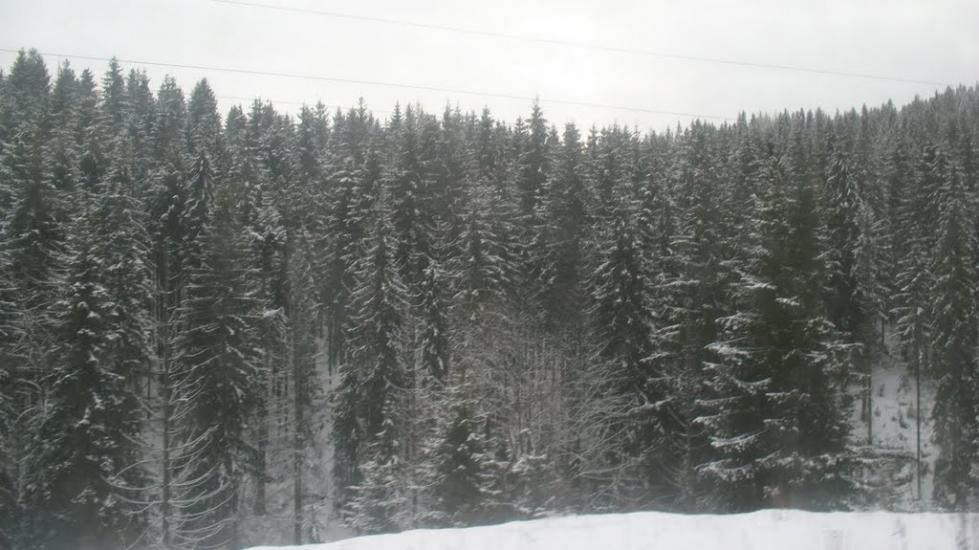 Опорець з panoramio.com - Oporets