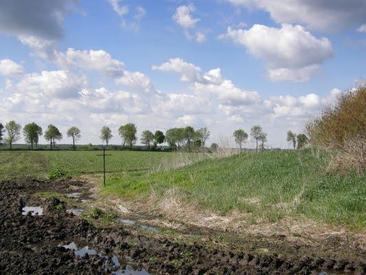 Стаївка з panoramio.com - Stayivka